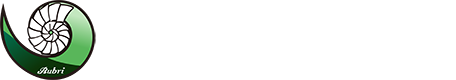 金年会  |  APP下载